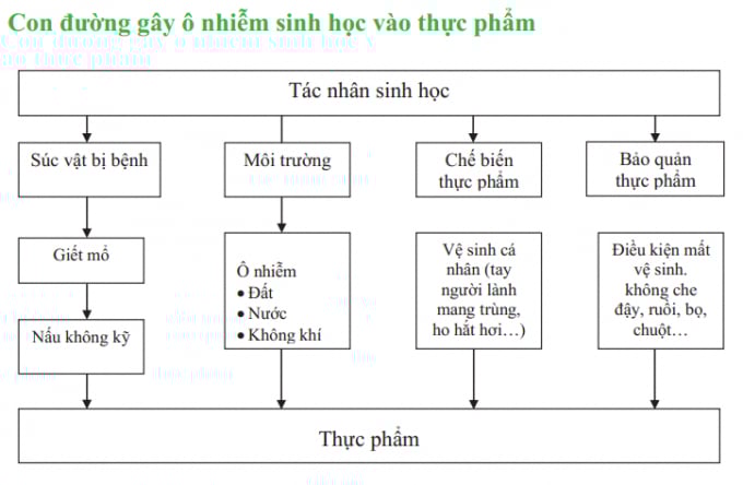 bai1-h2-con-duong-gay-o-nhiem-1528_20201116_723.jpeg Con đường gây ô nhiễm sinh học