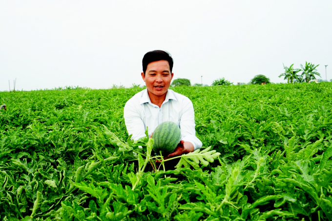 ca-rot-15986055733651275815996-1636_20201118_745.jpg Đẩy mạnh tái cơ cấu ngành nông nghiệp, nâng cao thu nhập cho người nông dân góp phần thực hiện tiêu chí thu nhập trong xây dựng nông thôn mới.