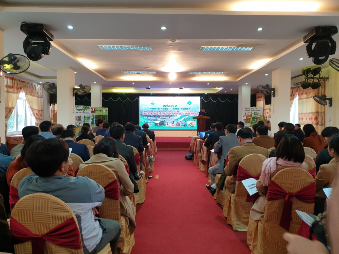 z2218545464332_a504a266d106ccf2a565d57169b27917-1113_20201209_218.jpg Diễn đàn do Trung tâm Khuyến nông quốc gia phối hợp Trung tâm Khuyến nông Hà Tĩnh tổ chức đã hỗ trợ các doanh nghiệp, HTX, hộ sản xuất trên địa bàn 5 tỉnh Bắc Trung bộ hình thành các chuỗi liên kết bao tiêu sản phẩm cam bền vững. Ảnh: Thanh Nga.