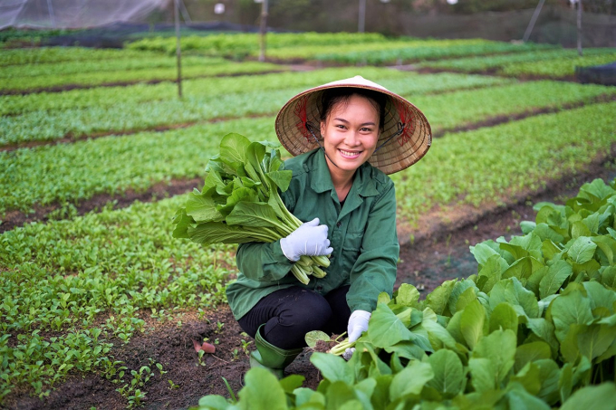 1-1903_20201213_895.jpg Các khách mời cho biết sản xuất không sử dụng hóa chất rất khó và thường năng suất đạt rất thấp, nhưng giá thành sản phẩm trồng thuận theo tự nhiên sẽ cao gấp đôi, gấp ba lần so với sản phẩm thường. Ảnh: AV.