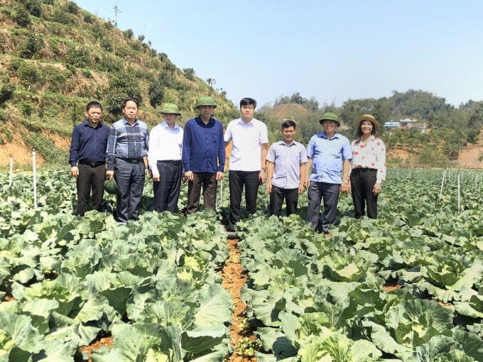 Lãnh đạo tỉnh Sơn La cùng với các cơ quan chuyên môn thăm mô hình sản xuất cây vụ đông. Ảnh: Hoàng Hiền