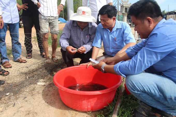 22351763can_bo_ky_thuat_kiem_tra_tom_nuoi-223517.jpg Không chỉ vật nuôi trên cạn, việc xáo trộn, sáp nhập hệ thống thú y cơ sở khiến công tác điều tra, giám sát, phòng chống dịch bệnh trên thủy sản cũng đang gặp rất nhiều khó khăn. Ảnh: TL.
