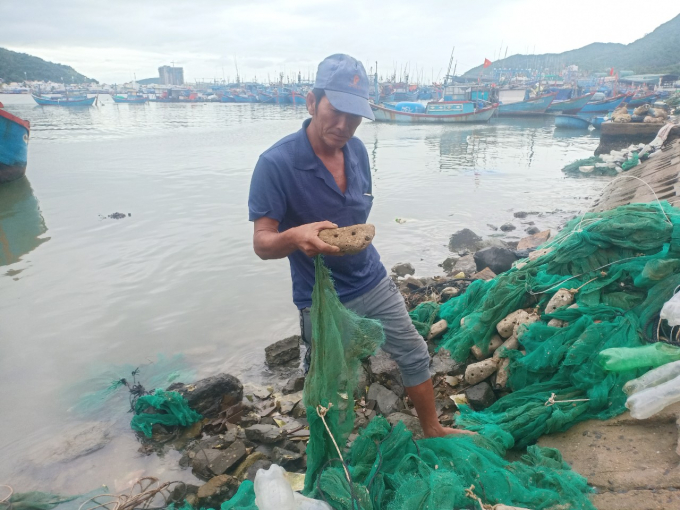 z2240512264907_ad6b7d32de47d2ee41787a8924126703-0844_20201223_514.jpg Sau nửa tháng bẫy tôm hùm nhí nhiều ngư dân kiếm cả trăm triệu đồng. Ảnh: KS.