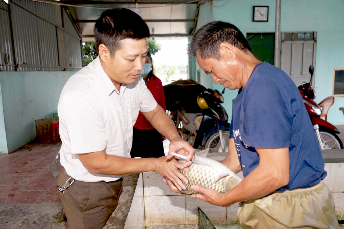 anh-1-anh-dung-dang-kich-duc-to-cho-ca-1-1804_20201111_352.jpg Với diện tích 8,5ha mặt nước, anh Dũng chia làm 15 ao nuôi cá thương phẩm và 10 ao ương cá giống, trong đó, có 1 ao nuôi cá giống được anh áp dụng công nghệ sông trong ao. Ảnh: Hoàng Dân.