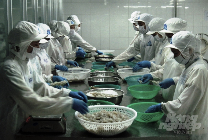 Theo VNF, trong quá trình chế biến tôm, chỉ có 55-65% của con tôm được sử dụng, còn lại 35-45% phần còn lại được coi là phụ phẩm, bị bỏ đi. Ảnh: Trung Chánh.