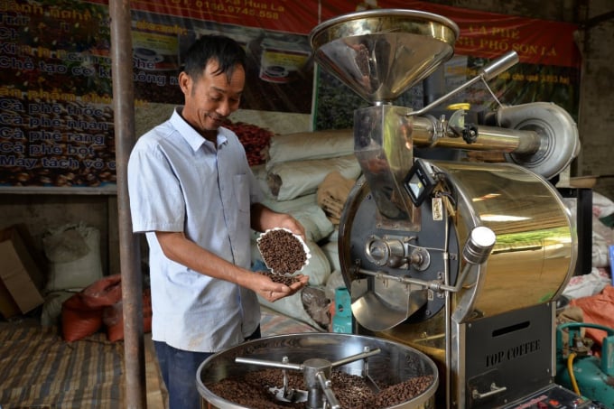 Những nhân cà phê thơm nức, thành quả của những người trồng cà phê Sơn La trong đó có ông Nguyễn Xuân Thao.