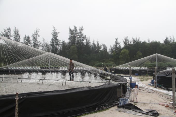 Người nuôi phải dùng nhiều biện pháp chống rét như che bạt, sục nước tạo ô xy... để bảo vệ thủy sản. Ảnh: Tiến Thành