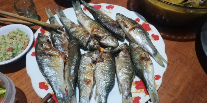 tet--tran-dang-lam--an-ca-nien-nho-ve-dem-dai-ngan-1428_20210111_42.jpg Cá niên nướng.