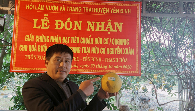 watermark_20201216_170710-0045_20210117_80.jpg Ông Khải trồng bưởi hữu cơ bởi sự ám ảnh từ cái chết của một người làm công. Ảnh: Võ Dũng.