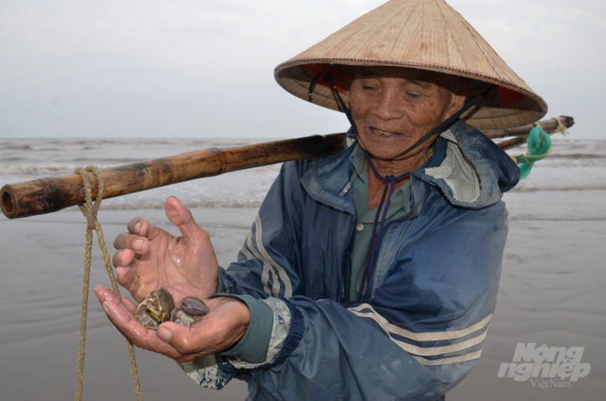 watermark_dsc_1462-1619_20210107_25.jpg Mớ ngao mới cào lên. Ảnh: Dương Đình Tường.