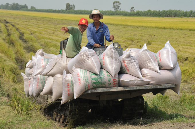 2-vu-lua-dong-nam-nay-nong-dan-dbscl-trung-mua-lua-ban-duoc-gia-cao-nen-rat-phan-khoi-1618_20210121_466.jpg Vụ lúa - tôm năm nay, nông dân ĐBSCL rất phấn khởi vì trúng mùa, được giá. Ảnh: Đ. T. Chánh.