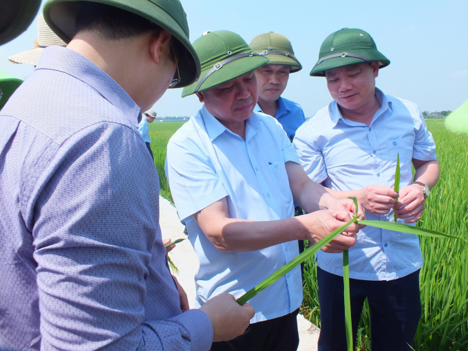 Thứ trưởng Lê Quốc Doanh (giữa) đánh giá bên cạnh công tác nghiên cứu, VAAS đã hỗ trợ đắc lực giúp Bộ NN-PTNT trong công tác chỉ đạo, điều hành sản xuất. Ảnh: Lê Bền