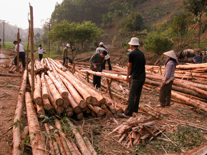 lay-khoa-hoc-cong-nghe-tao-dot-pha-cho-lam-nghiep-nghe-an-1637_20210128_279.jpg Công nghệ khai thác, chế biến gỗ của Nghệ An vẫn còn rất thô sơ, lạc hậu. Ảnh: TL