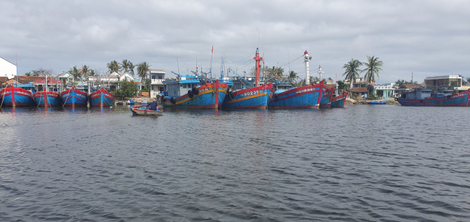 Tỉnh Quảng Nam đã có những chuyển biến tích cực trong việc triển khai chống khai thác IUU. Ảnh: L.K.