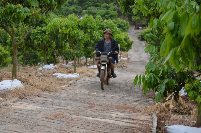 watermark_bai-iii-tu-cuoc-giun-nuoi-ngan-tro-thanh-ti-phu-nhieu-dat-nhat-vung-1228_20210223_206.jpg Con đường ông Tập tự làm đã được 5km. Ảnh: Dương Đình Tường.