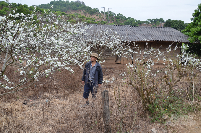 watermark_bai-iii-tu-cuoc-giun-nuoi-ngan-tro-thanh-ti-phu-nhieu-dat-nhat-vung-1234_20210223_337.jpg Ông Tập bên căn nhà dựng trên mảnh đất năm xưa cuốc thuê để đổi lấy. Ảnh: Dương Đình Tường.