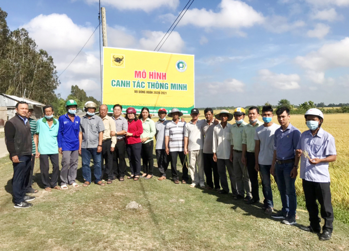 fa6673b974678739de76-0611_20210307_721.jpg Các hộ thực hiện trong mô hình đã giảm được phân bón, thuốc BVTV và giảm ít nhất 2 lần phun thuốc trừ sâu rầy và thuốc bệnh. Ảnh: Lê Hoàng Vũ.