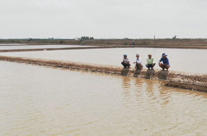 z2365604322337_5f9668a7ec5a70eff2366554c29684f0-1032_20210307_864.jpg Hiện giá trứng Artemia khoảng 1 triệu đồng/kg, vụ này mỗi ha thu hoạch khoảng 100kg/ha. Ảnh: Trọng Linh.
