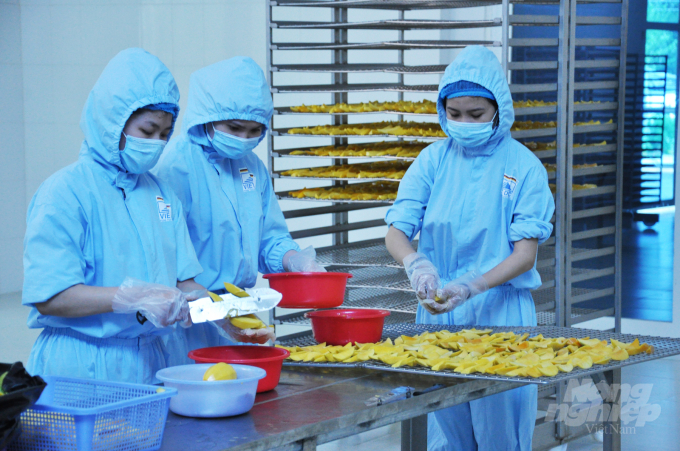 Miền Tây cần thêm nhiều DN đầu tư chế biến trái cây xuất khẩu như Công ty Việt Đức (Đồng Tháp). Ảnh:  HĐ