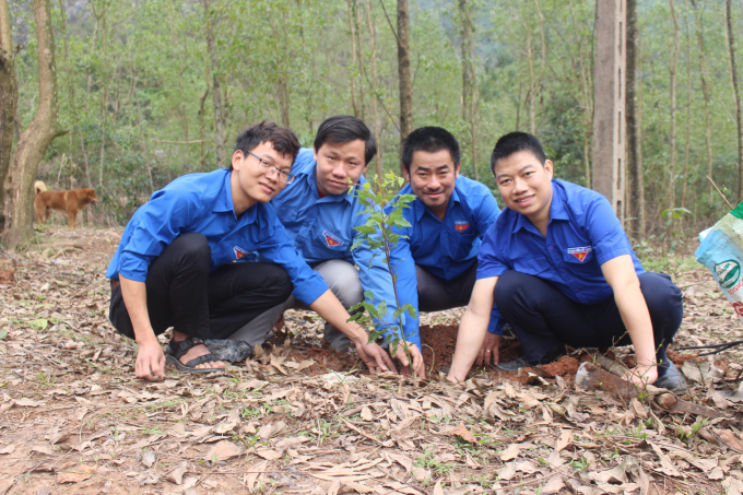GS.TS Lê Đình Khả cho rằng, cần có nghiên cứu, bước đi vững chắc, không nên vội vàng khi triển khai chương trình 1 tỉ cây xanh. Ảnh: TL