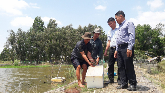 watermark_lanh-dao-hoi-nong-dan-huyen-va-ubnd-xa-vinh-loc-cung-nguoi-dan-den-tham-quan-mo-hinh-nuoi-ca-chach-lau-cua-gia-dinh-ong-dong-minh-quan-tung-lam-1716_20210329_201.jpg Ông Quân cho biết, được thương lái hợp đồng bao tiêu cá chạch lấu thương phẩm với giá 250 - 280 ngàn đồng/kg, sau khi thu hoạch đợt cá này bán cũng còn lời cả trăm triệu đồng sau 7 tháng nuôi. Ảnh: Tùng Lâm.