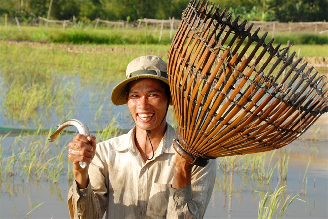 ca-nuoc-ngot-suy-giam-nghiem-trong-0813_20210407_775.jpg Cá nước ngọt ngoài tự nhiên suy giảm ảnh hưởng rất lớn tới cuộc sống của người nông dân. Ảnh: Lê Hoàng Vũ.