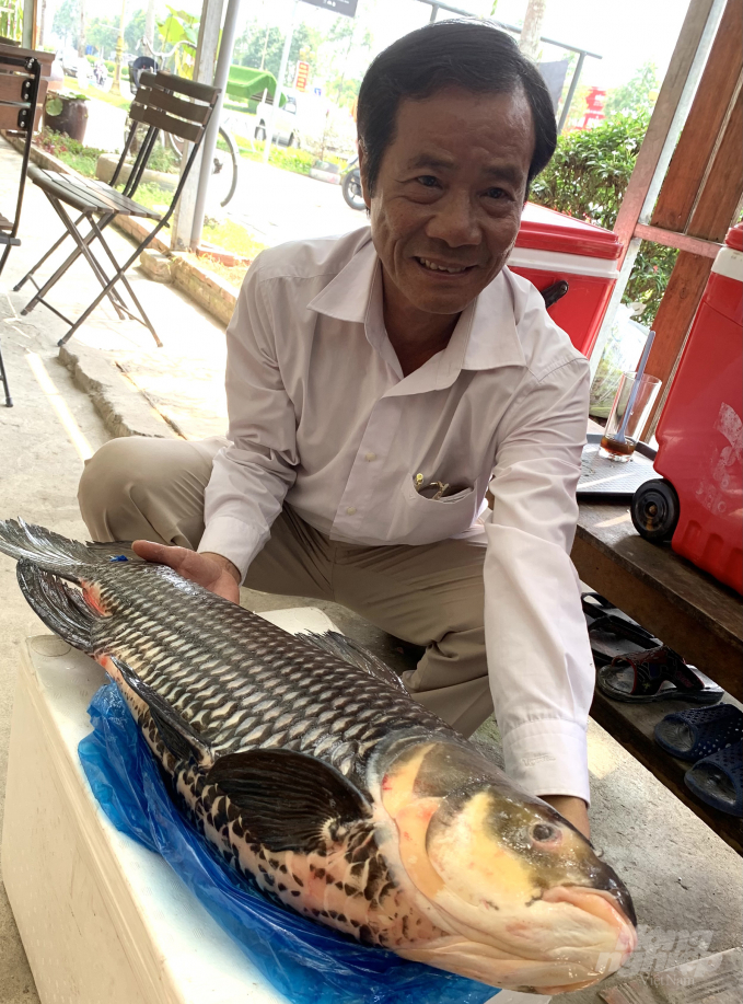 watermark_ca-ho-danh-bat-ngoai-song-ho-tu-nhien-gan-nhu-can-kiet--anh-hd-1613_20210405_764.jpg Cá hô đánh bắt ngoài sông, hồ tự nhiên gần như cạn kiệt. Ảnh: HĐ.
