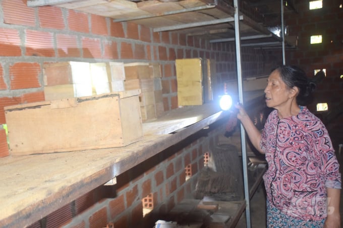 Nuôi ong dú phải thường xuyên mở thùng thăm xem đàn ong mới phát triển ra sao để có kế hoạch bổ sung đàn ong. Ảnh: Vũ Đình Thung.