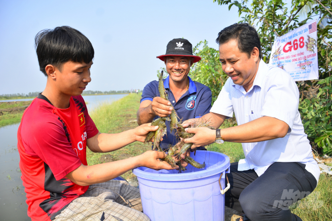 Sử dụng sản phẩm sinh học giúp nuôi tôm khỏe, năng suất, chất lượng cao và bảo vệ môi trường. Ảnh: Minh Đãm.