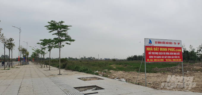 sot-dat-13-051156_48.jpg Các công ty bất động sản, nhà đất mọc lên như nấm. Ảnh: Đinh Mười.