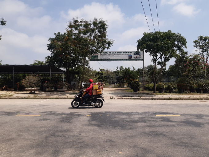 Hàng ngàn m2 đất ở gần trung tâm TP. Huế được cho doanh nghiệp thuê với giá 0 đồng. Ảnh: Tiến Thành.