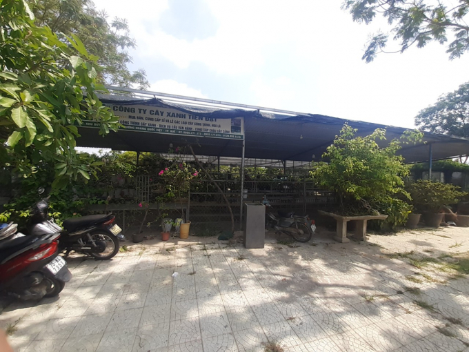 Doanh nghiệp đã biến khu vực được đất thuê thành vườn ươm cây để kinh doanh. Ảnh: Tiến Thành.