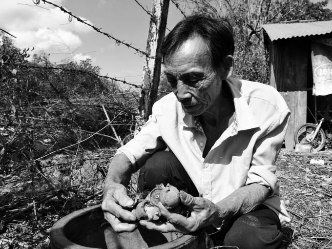 11-1439_20210406_394.jpg Người dân Tân Biên thu gom bom mìn sót lại sau chiến tranh để khai hoang mở đất. Ảnh: Tư liệu.