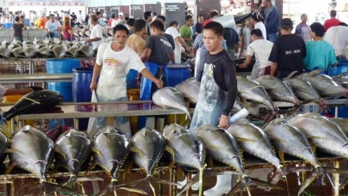 thai-lan-iuu-1335_20210414_808.jpg