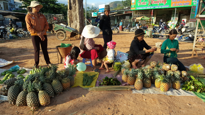 1055092do_trong_it_khong_co_moi_thuong_lai_vao_mua_si_nen_mot_so_ho_nguoi_dong_bao_e_de_trong_dua_phai_dem_ra_cho_ngoi_ban_le-105509.jpg Đến vụ, dứa không có doanh nghiệp thu mua ổn định, mà chỉ được tiêu thụ qua kênh tiểu thương nhỏ lẻ, rất bấp bênh về giá cả. Ảnh: Tùng Lâm.