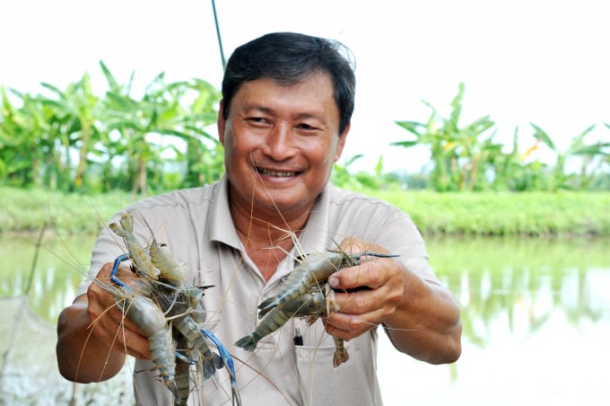 anh-2-1525_20210518_490.jpg Với diện tích ao nuôi khoảng 1ha, người dân có thể thu hoạch đạt tổng sản lượng tôm từ 1-1,2 tấn. Ảnh: NT.