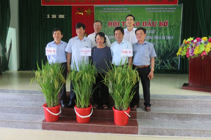 Anh hùng Lao động, PGS.TS Nguyễn Thị Trâm (giữa), tác giả nhiều giống lúa lai nổi tiếng: TH3-3, TH3-4, TH3-5, TH6-6...