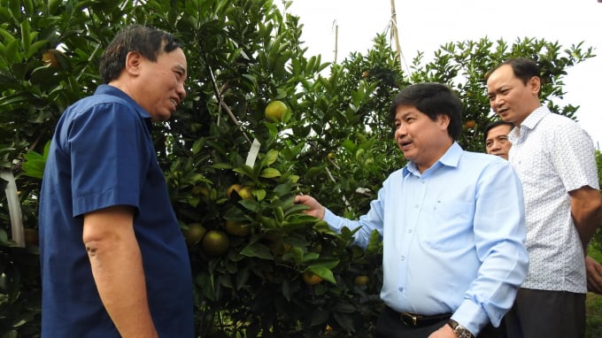 Trong chuyến công tác kiểm tra vùng trồng cam Vũ Quang, Thứ trưởng Bộ NN-PTNT Lê Quốc Doanh khuyến khích người dân bón phân hữu cơ nhằm nâng cao tuổi thọ, năng suất, chất lượng cho cây trồng. Ảnh: Võ Dũng.
