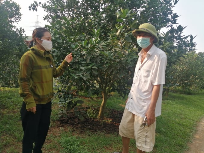 Các thanh viên trong HTX thường xuyên trao đổi kinh nghiệm trồng với nhau, giám sát, nhắc nhở lẫn nhau đảm bảo tuân thủ đúng quy trình trồng theo tiêu chuẩn VietGAP và theo hướng hữu cơ. Ảnh: Huy Bình.