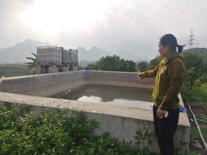 Bể chứa nước tưới và téc ngâm ủ đậu tương, trứng, cá... để làm phân bón cho cây được các thành viên HTX xây dựng ngay trong khuôn viên vườn trồng. Ảnh: Trung Quân.
