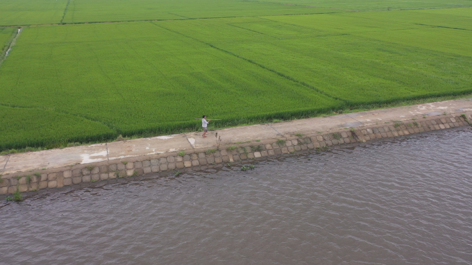 z2527873327113_058d58ecf3cc72c7bad2a07e4110727d-1450_20210602_910.jpg Đê Đại Giang (tỉnh Thừa Thiên - Huế) bảo vệ đồng ruộng mùa mưa bão, ngăn mặn, tiêu thoát lũ. Ảnh: T.T.