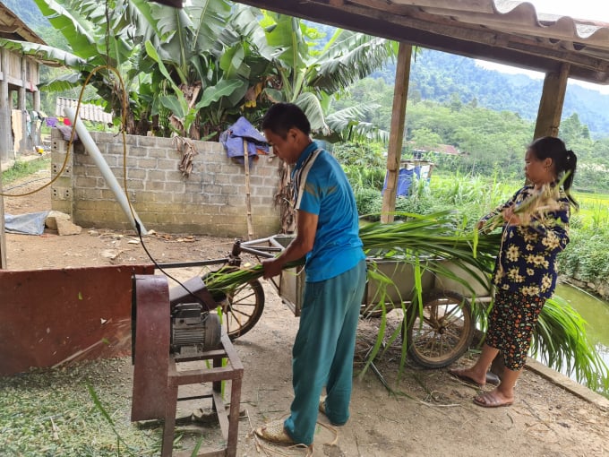 z2530461147100_88e93c3b083e3d8ce0eb13124a6f57a2-1623_20210603_662.jpg Nhờ nuôi trâu vỗ béo, gia đình ông Ma Văn Chủ có thu nhập khá và trở thành người sở hữu nhiều trâu nhất xã Năng Khả. Ảnh: Đào Thanh.