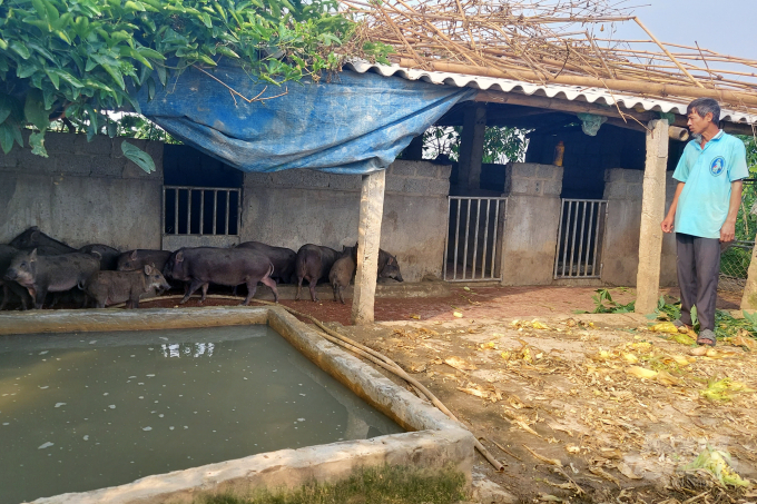 Nhờ tích tụ đất đai, cuộc sống gia đình giáo dân Nguyễn Văn Tư đã khởi sắc. Ảnh: VH.