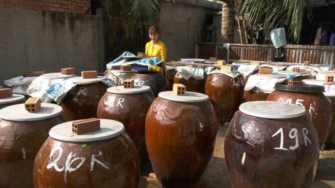 Mỗi mùa cá linh, cơ sở của Bích Tuyền luôn thu mua lượng lớn để dự trữ sản xuất nước mắm. Ảnh: Trọng Trung.