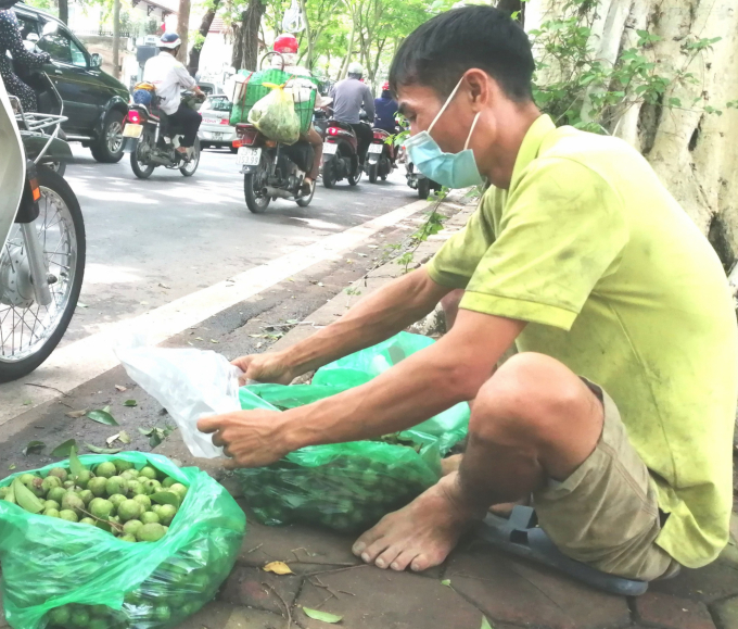 ai-se-che-bien-qua-sau-1709_20210627_342.jpg Qủa sấu đa số chỉ được người dân thu hái, bán tươi theo mùa mà chưa có chế biến sâu. Ảnh: Trung Quân.