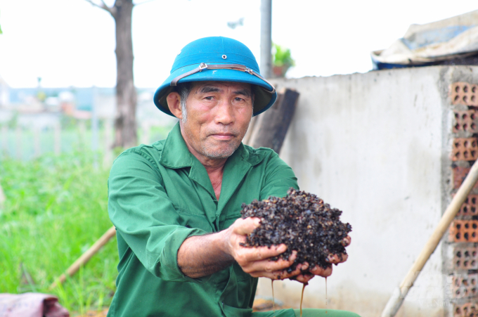 Để giảm chi phí đầu vào, gia đình ông Bạch Văn Pha tự ủ phân hữu cơ để bón cho cà phê. Ảnh: Minh Hậu.