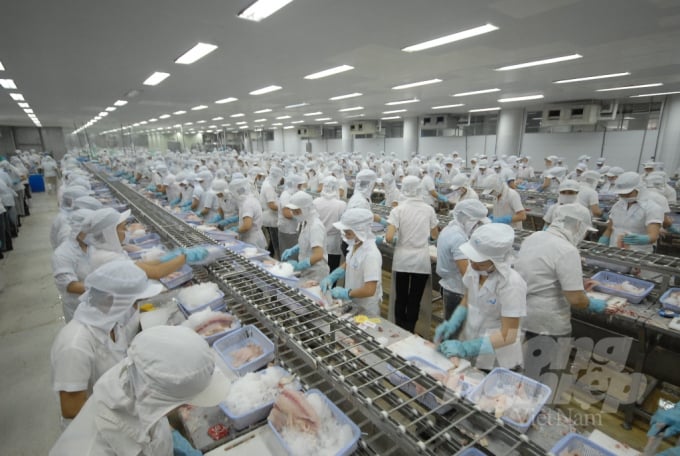 Xuất khẩu thủy sản năm nay có thể chạm mốc 9 tỷ USD. Ảnh: Lê Hoàng Vũ.