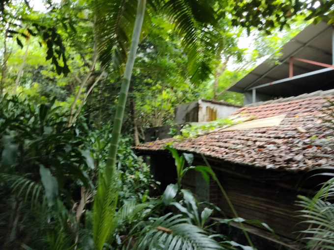 Căn nhà xiêu vẹo của gia đình nhà ông Xuân. 