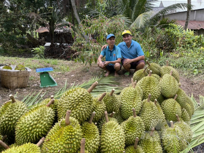 Durian Ri6 grown in Phong Dien District, Can Tho City. Photo: HD.