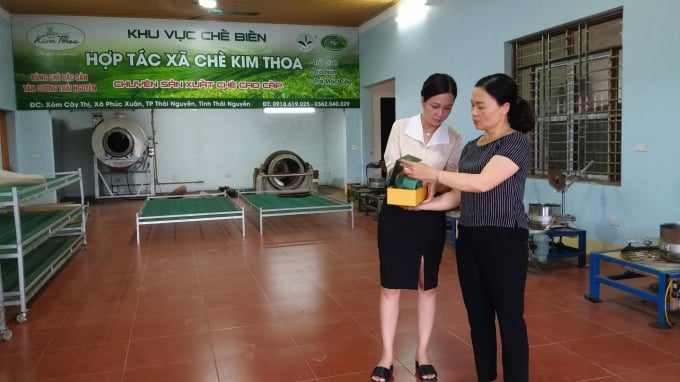 HTX chè Kim Thoa đã mạnh dạn đầu tư dây chuyền chế biến, sản xuất chè theo hướng hữu cơ. Ảnh: ĐVT.
